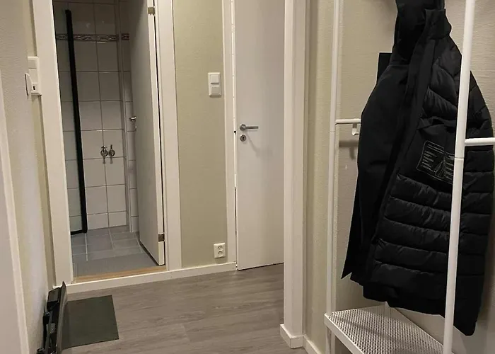 Center With Balcony Apartment Bergen